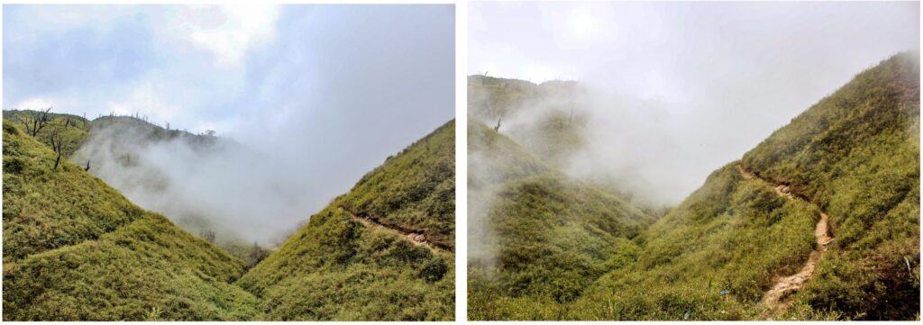 Dzukou Valley shrouded in mist 