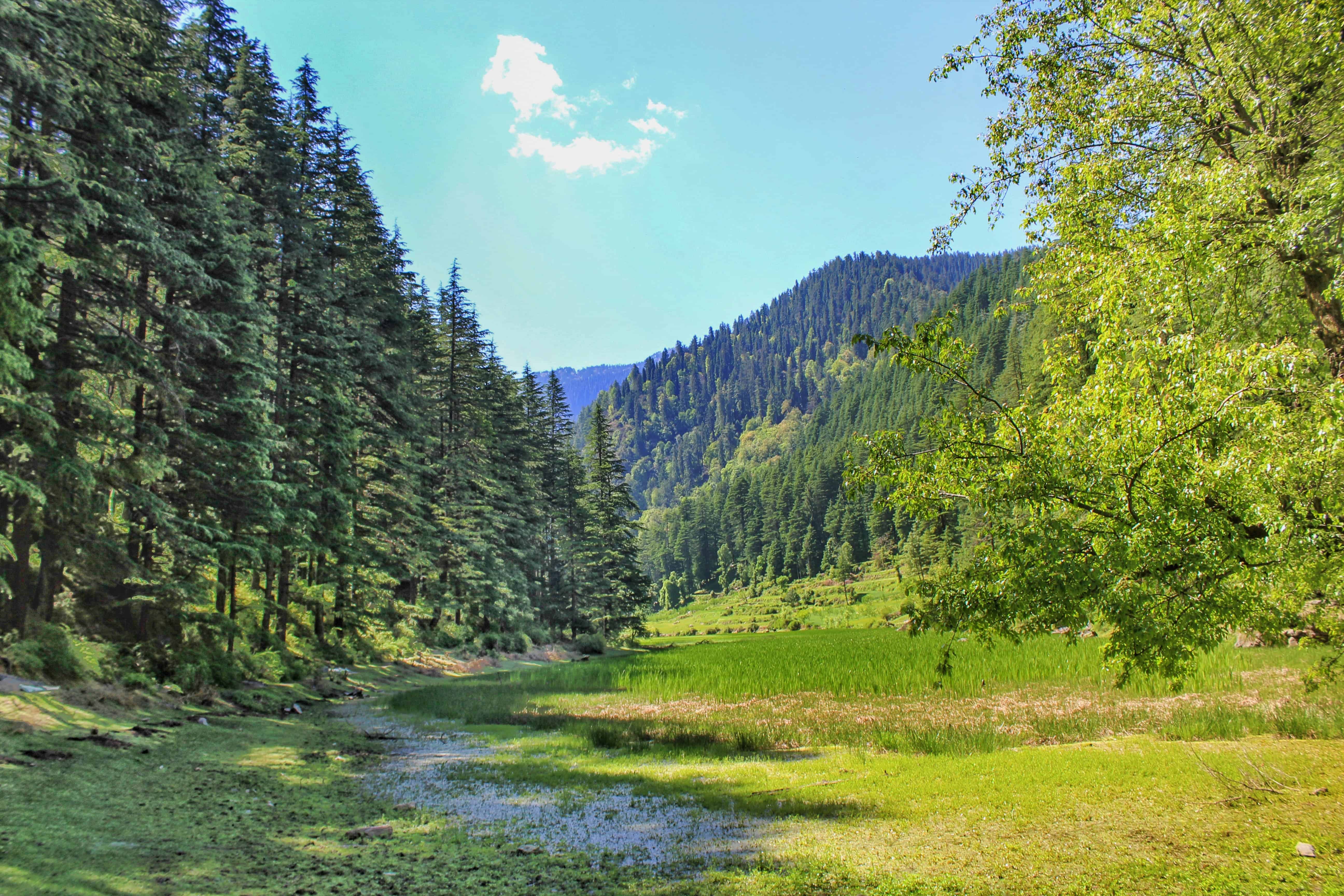 Pundrik Lake in Sainj Valley; another view