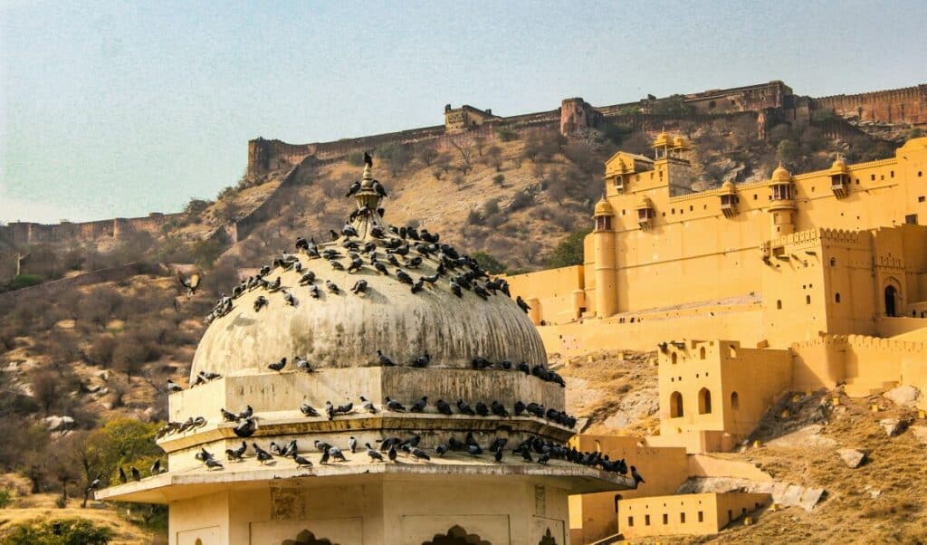 Amer Fort- One of the best places to visit in Jaipur